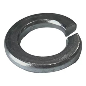 Nunc congue dui nec...