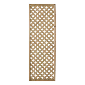 Nunc congue dui nec...